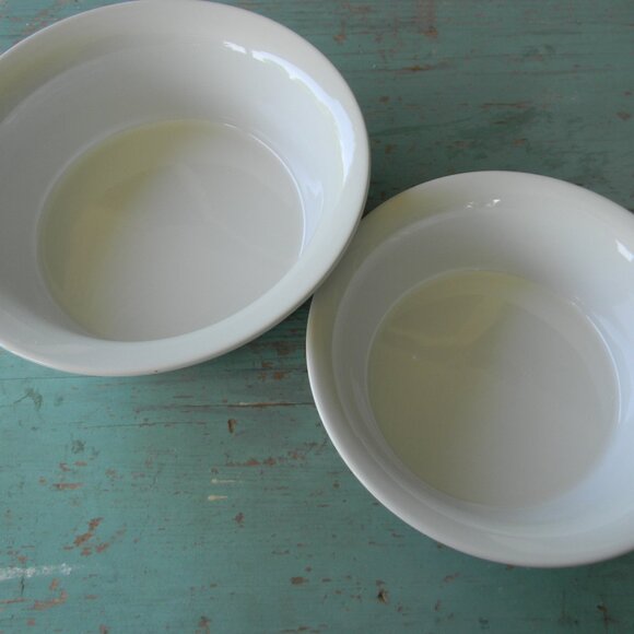 NEW Temp-tations Woodland Nostalgic S/2 Shallow Coupe Bakers WHITE 1.5 QT 2.5 QT - Picture 3 of 8